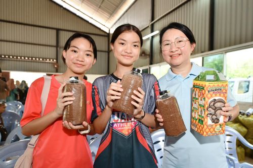2,000 bongkah cendawan nanas diagihkan untuk manfaat masyarakat Tuaran