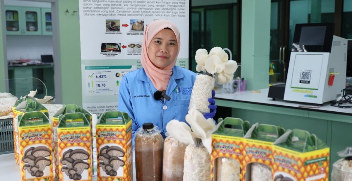 Penyelidik UMPSA hasilkan produk inovasi penanaman cendawan menggunakan sisa nanas