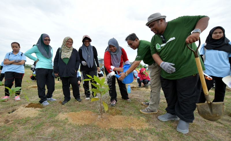 1,000 trees planted to fight against global warming