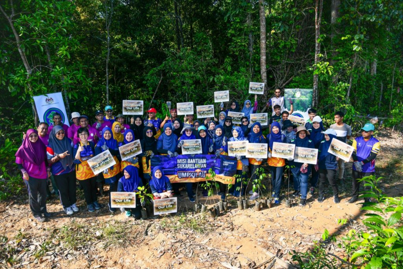 60 UMP Kilau volunteers plant 150 trees at Lake Chini