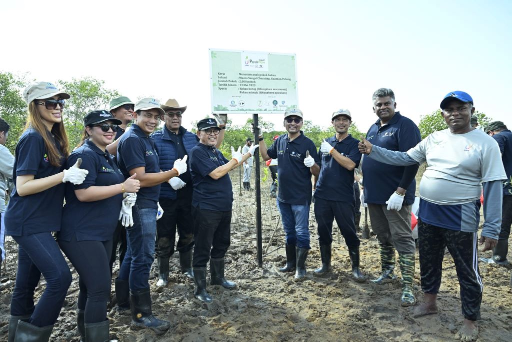 Kolaborasi UMP dan UMW tanam 2000 pokok bakau di Cherating