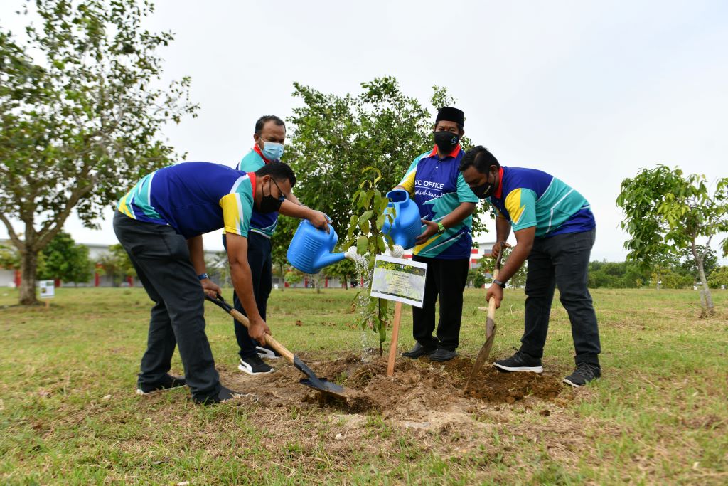 Plant rare trees treasures for younger generation