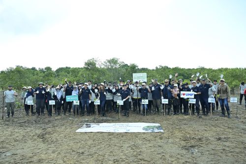 UMP and UMW Collaboration Plant 2,000 Mangrove Trees in Cherating
