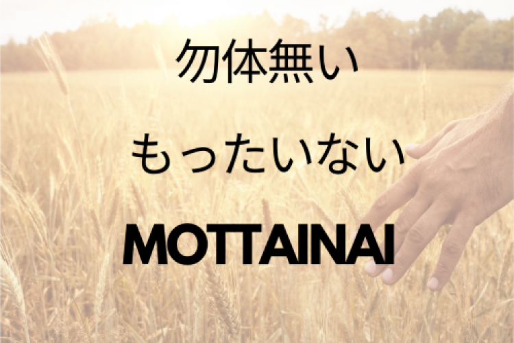 Mottainai - Japanese Ancient Mantra in combating COVID-19