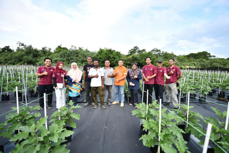 UMPSA researchers share expertise in IoT systems and fertigation for farmers in Pahang