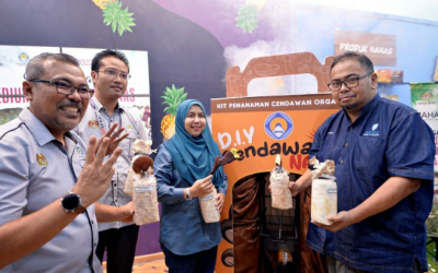 Pineapple Mushroom Medium UMP research output launched